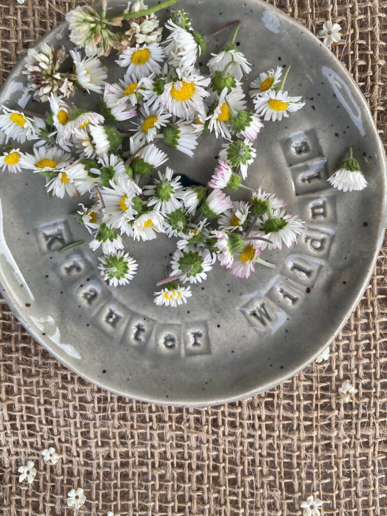Wild & Wunderbar Töpfern trifft Kräuterküche